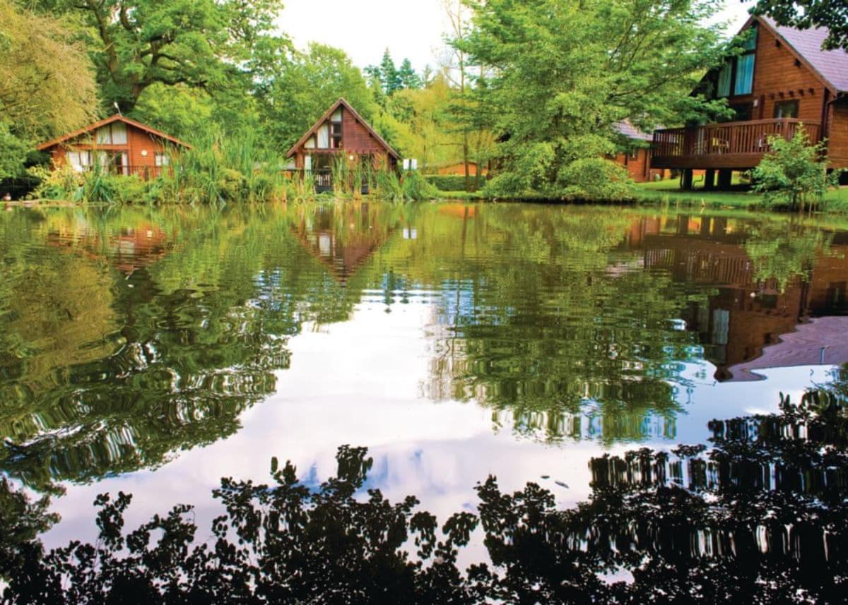 Whitemead Forest Park Hotel Parkend Bagian luar foto